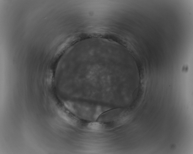 X0000112390231200909101419