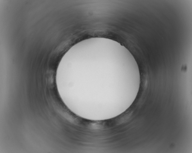X0000112390232200909101419