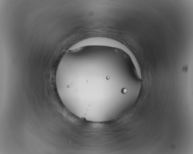 X0000112390233200909101419
