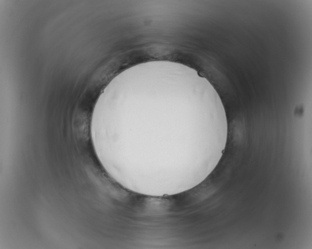 X0000112390234200909101419