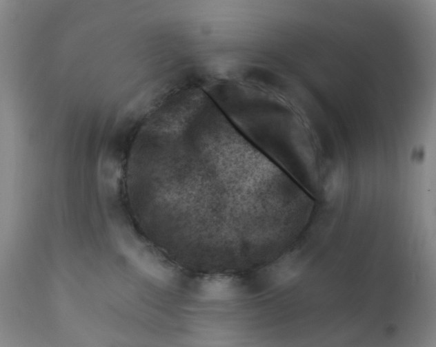 X0000112390235200909101419