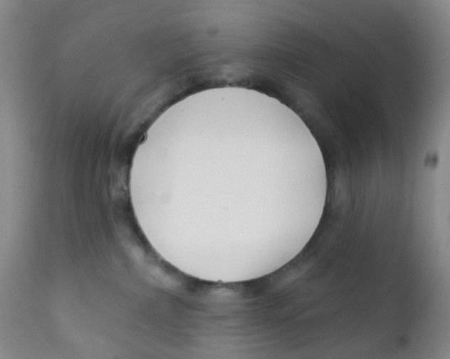 X0000112390236200909101419