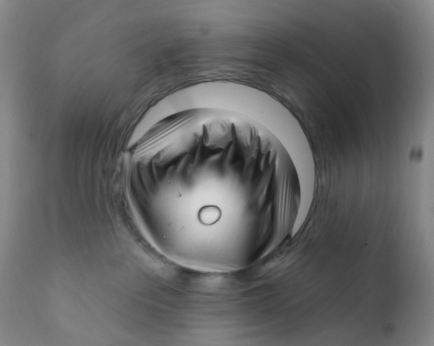 X0000112390237200909101419