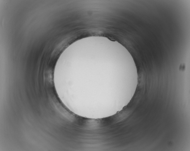 X0000112390238200909101419