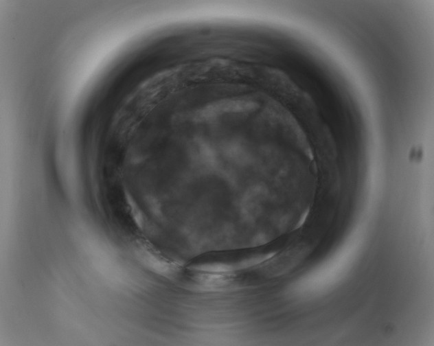 X0000112390239200909101419
