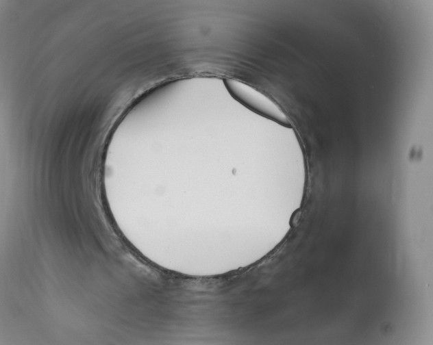 X0000112390241200909101418