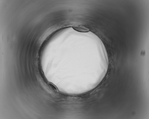 X0000112390242200909101418