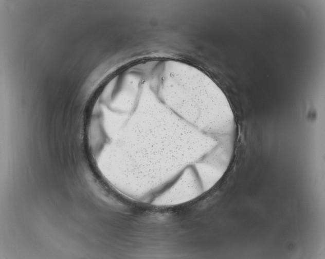 X0000112390247200909101418