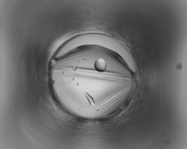X0000112390248200909101418