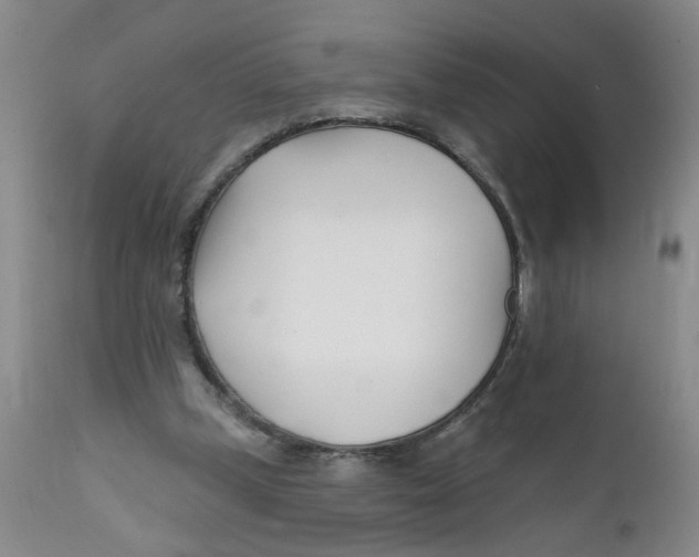 X0000112390249200909101418