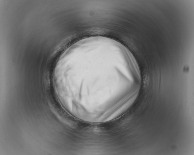 X0000112390254200909101418