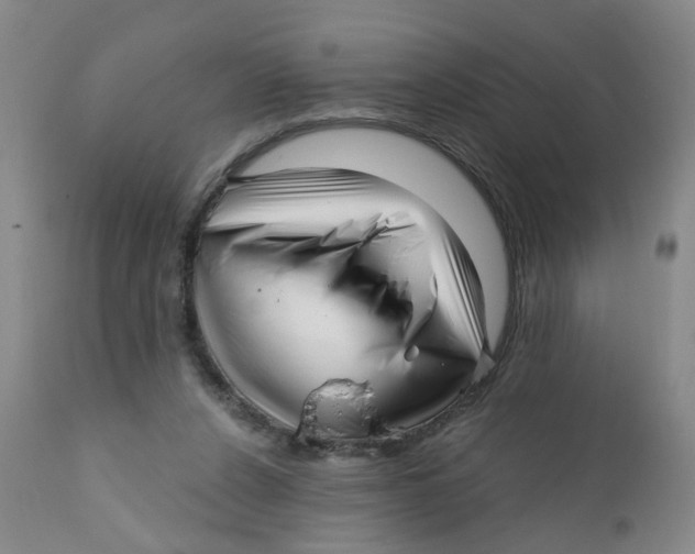 X0000112390256200909101418