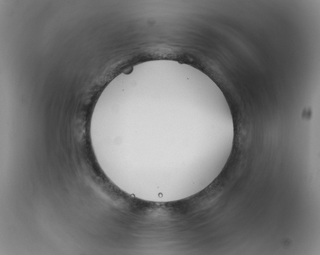 X0000112390259200909101418