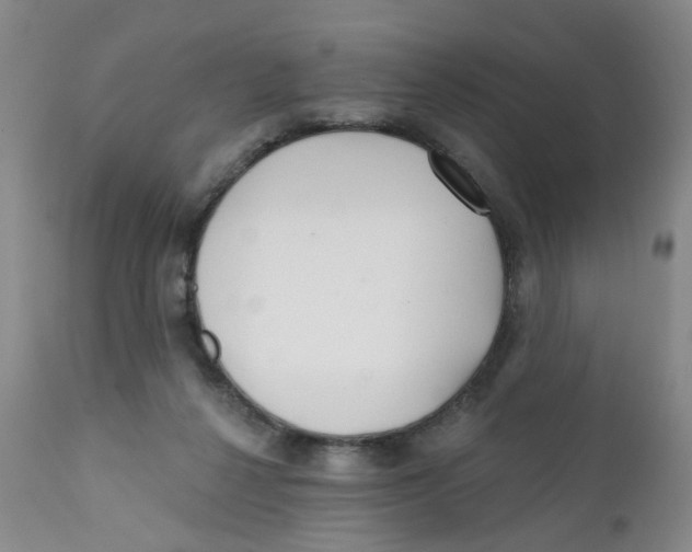 X0000112390264200909101418