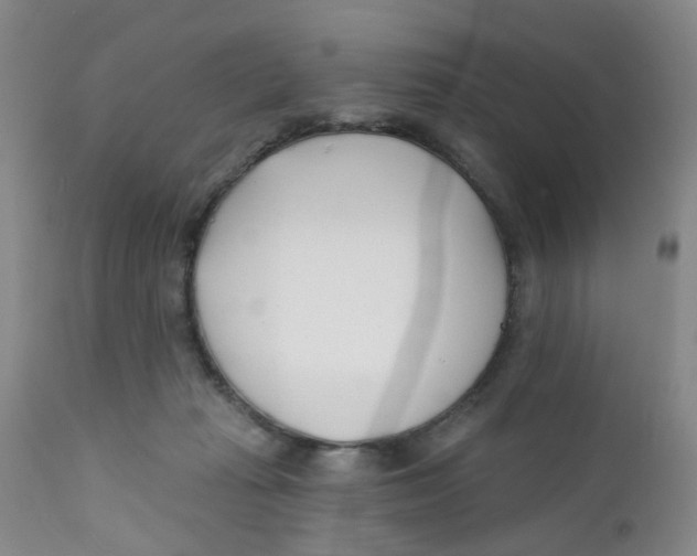 X0000112390269200909101418