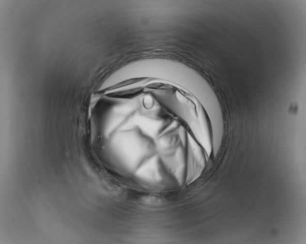 X0000112390272200909101418