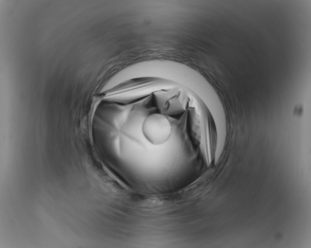 X0000112390276200909101418