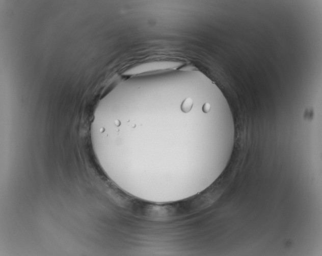 X0000112390277200909101418