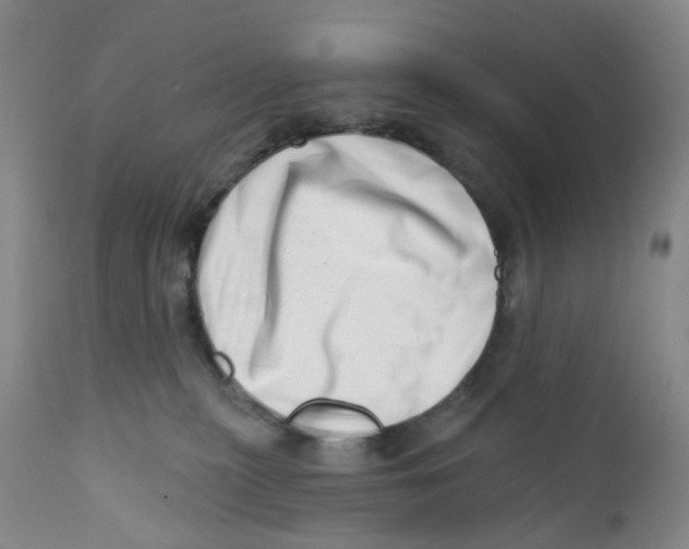 X0000112390279200909101418