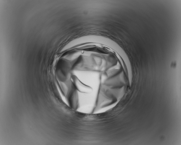 X0000112390280200909101419