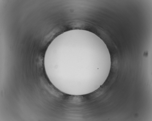 X0000112390282200909101419