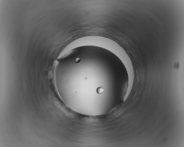 X0000112390284200909101419