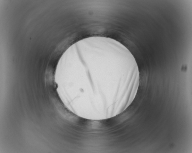 X0000112390287200909101419
