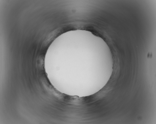 X0000112390288200909101419