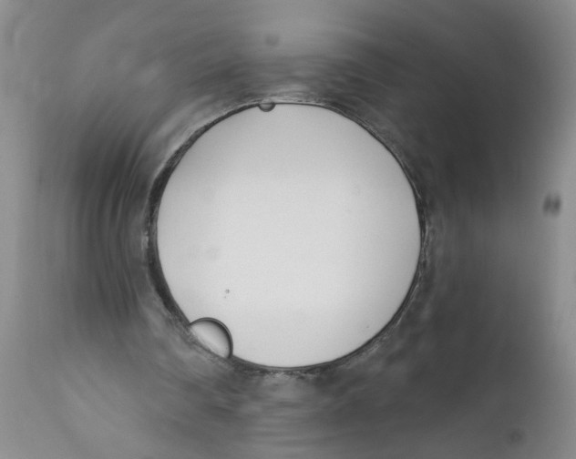 X0000112390290200909101418