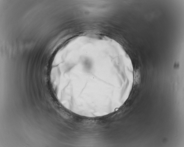 X0000112390291200909101418