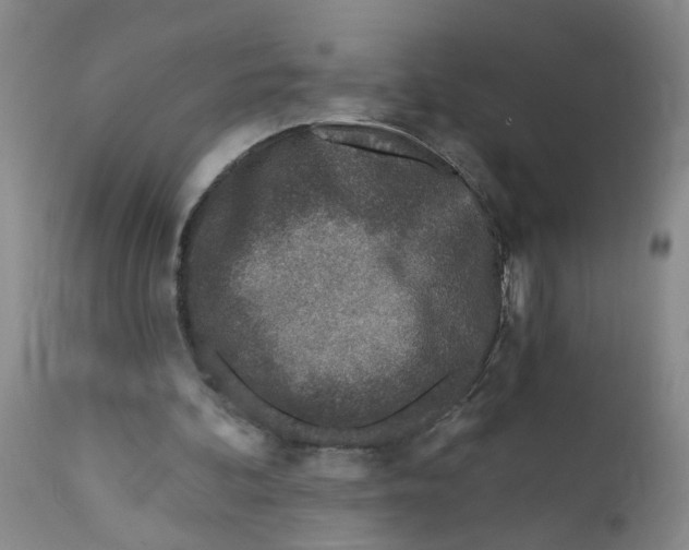 X0000112390292200909101418