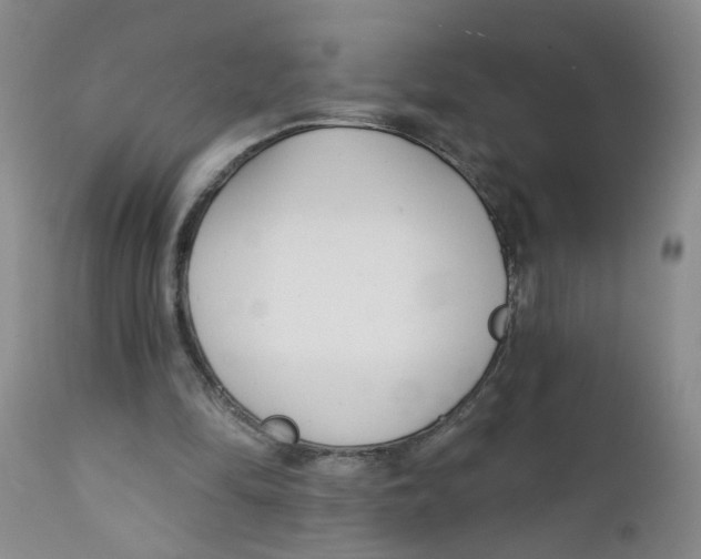 X0000112390294200909101417