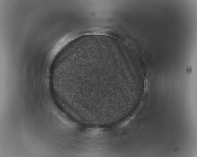 X0000112390295200909101417