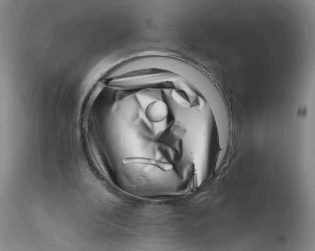 X0000112390296200909101417