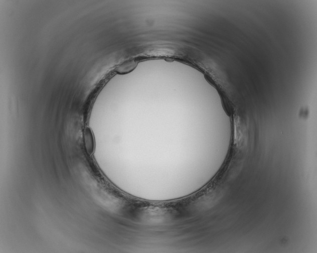 X0000112390300200909101417