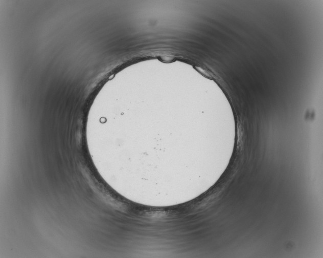 X0000112390301200909101417