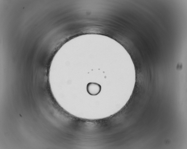 X0000112390302200909101417