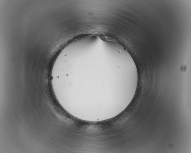 X0000112390303200909101417