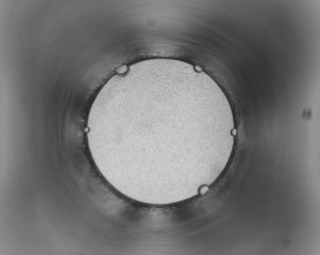 X0000112390305200909101417