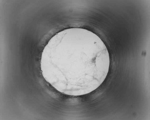 X0000112390307200909101417