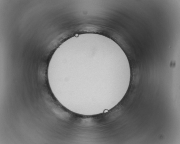 X0000112390309200909101417