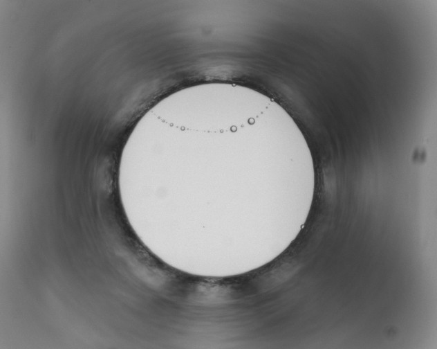 X0000112390311200909101417