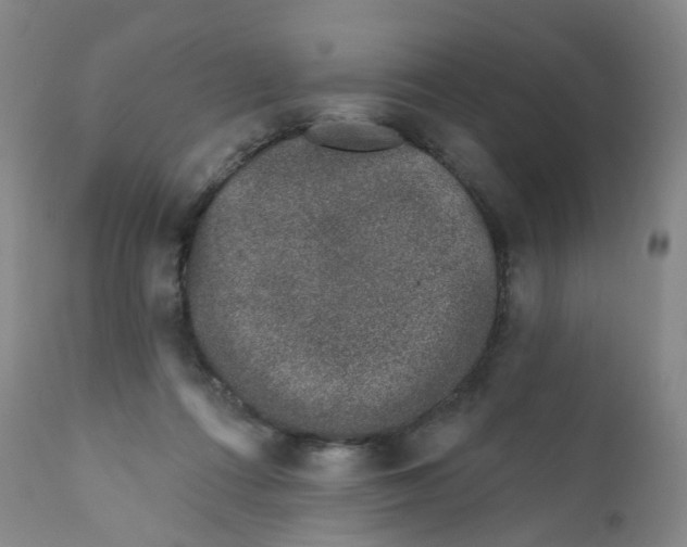 X0000112390312200909101417