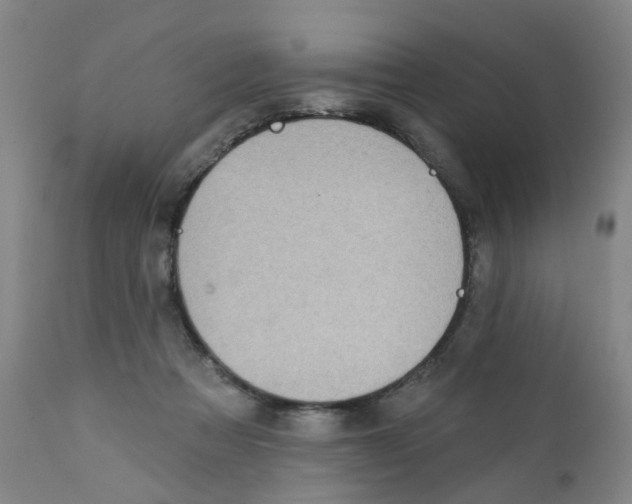 X0000112390313200909101417