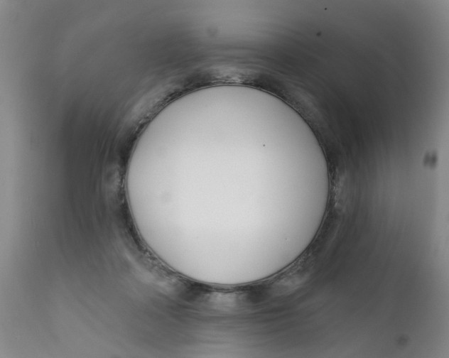 X0000112390314200909101417