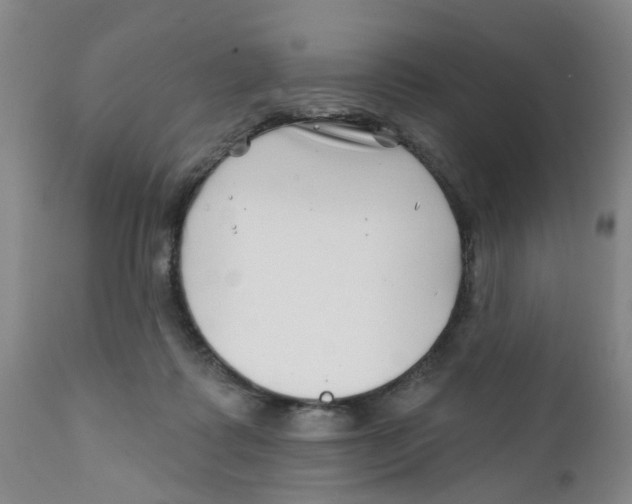 X0000112390315200909101417