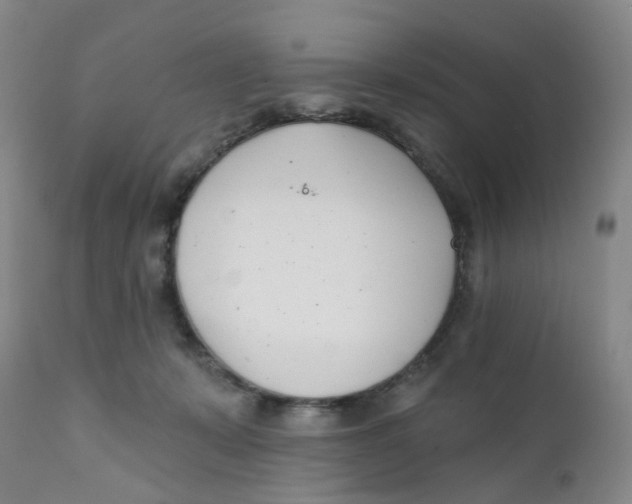 X0000112390319200909101417