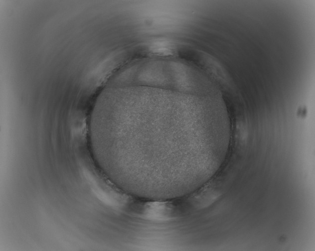 X0000112390320200909101417