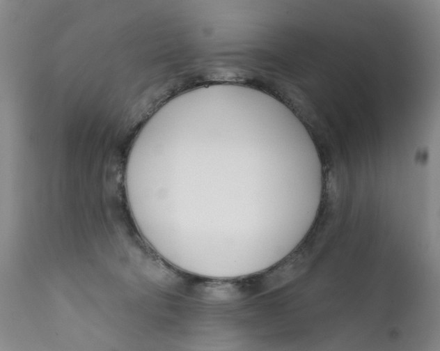 X0000112390322200909101417