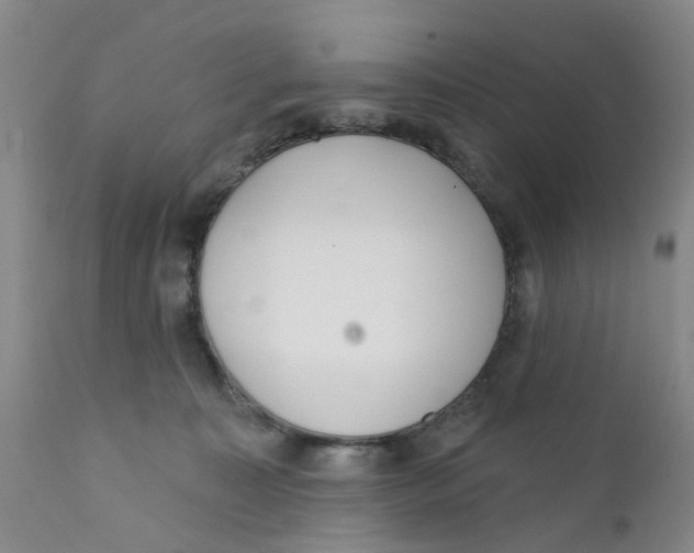 X0000112390323200909101417
